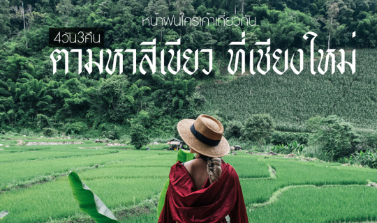 cover ตามหาสีเขียว ที่เชียงใหม่