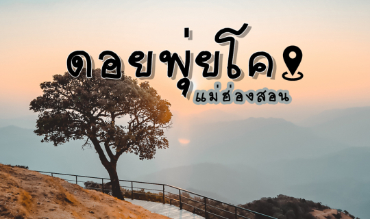 Cover .:: นอนพุงพุ้ยที่ดอยพุ่ยโค @ แม่ฮ่องสอน ::....