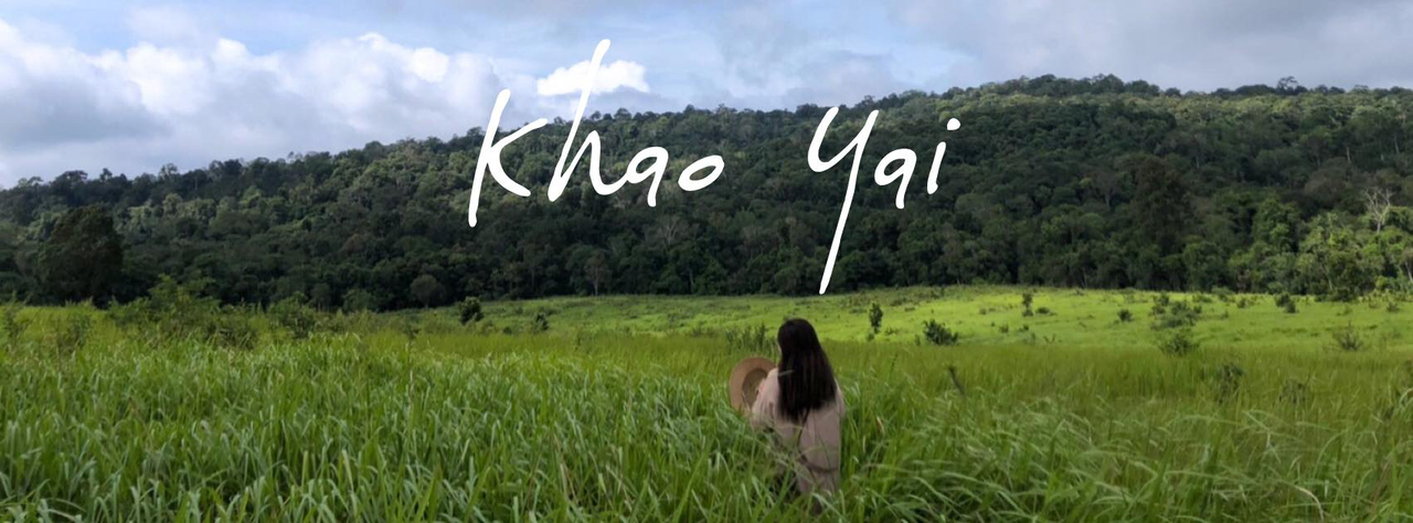 cover จะไปทะเลทำไม ในเมื่อใจอยู่ที่ "เขา" ที่นี่ เขาใหญ่ (Khao Yai)