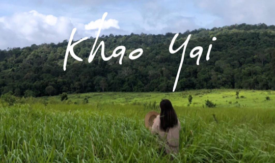 cover จะไปทะเลทำไม ในเมื่อใจอยู่ที่ "เขา" ที่นี่ เขาใหญ่ (Khao Yai)