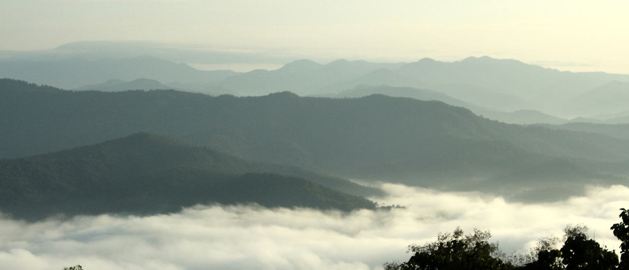 cover สายหมอกจากน่านสู่ภูลังกา