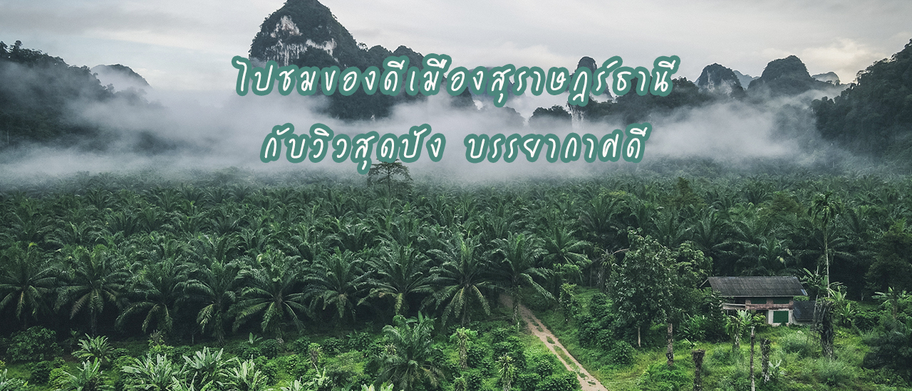 cover ไปชมของดีเมืองสุราษฎร์ธานี ที่ไม่ใช่ทะเลและหอยใหญ่ กับที่เที่ยววิวสุดปัง บรรยากาศดี