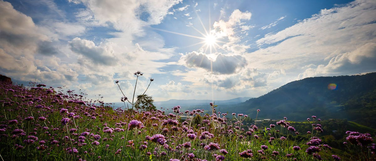 cover กอดธรรมชาติ อากาศดีให้เต็มปอด ที่เขาค้อเพชรบูรณ์