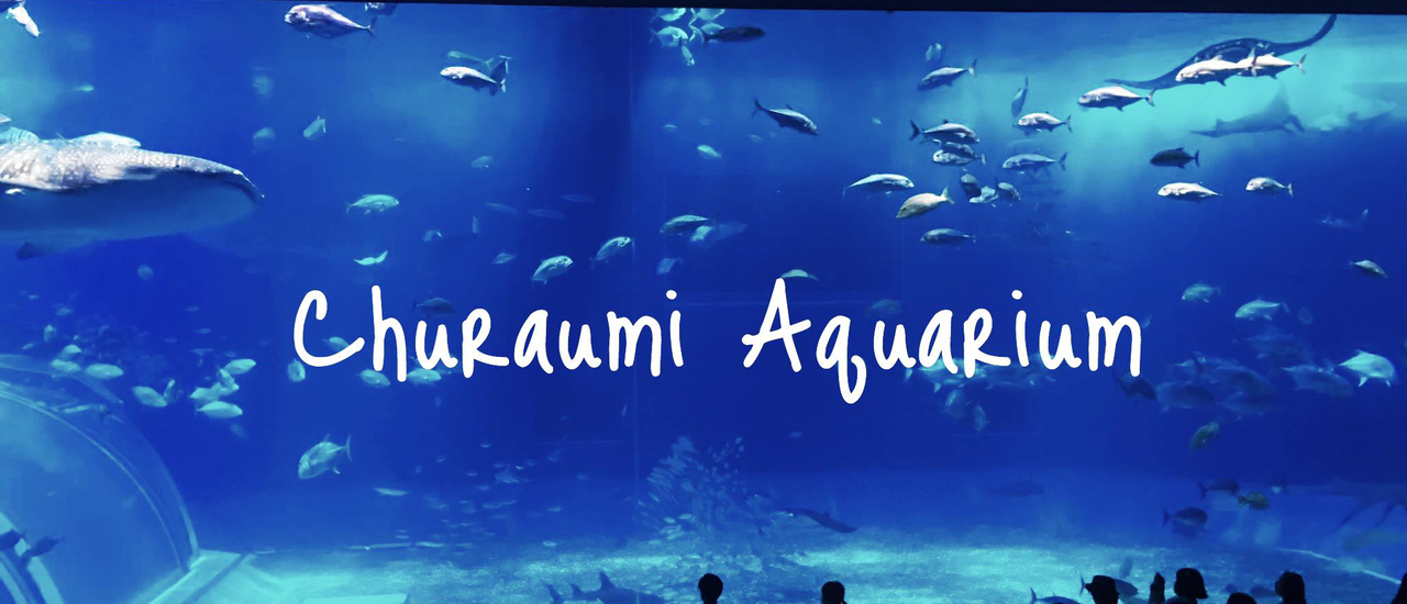 cover นั่งตู้ดูปลายักษ์ ที่ Okinawa Churaumi Aquarium โอกินาว่า ญี่ปุ่น