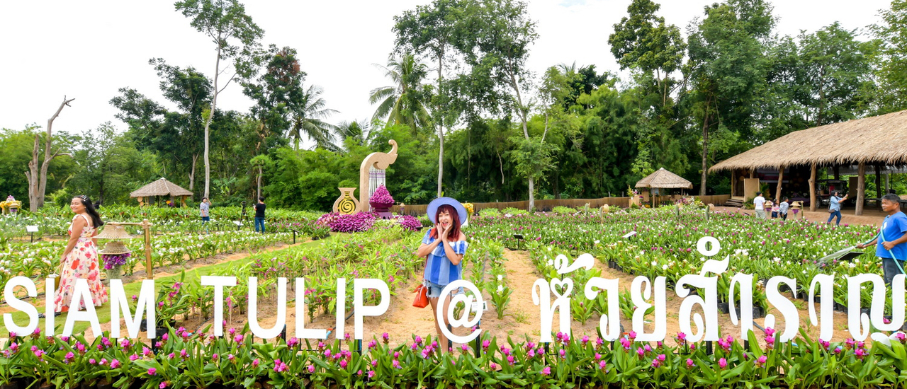 cover ….สุดฟินที่อุดรแบบ One Night in Udon กับแม่ประนอม จ้า