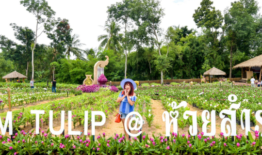 Cover ….สุดฟินที่อุดรแบบ   One Night in Udon  กับแม่ประนอม จ้า...