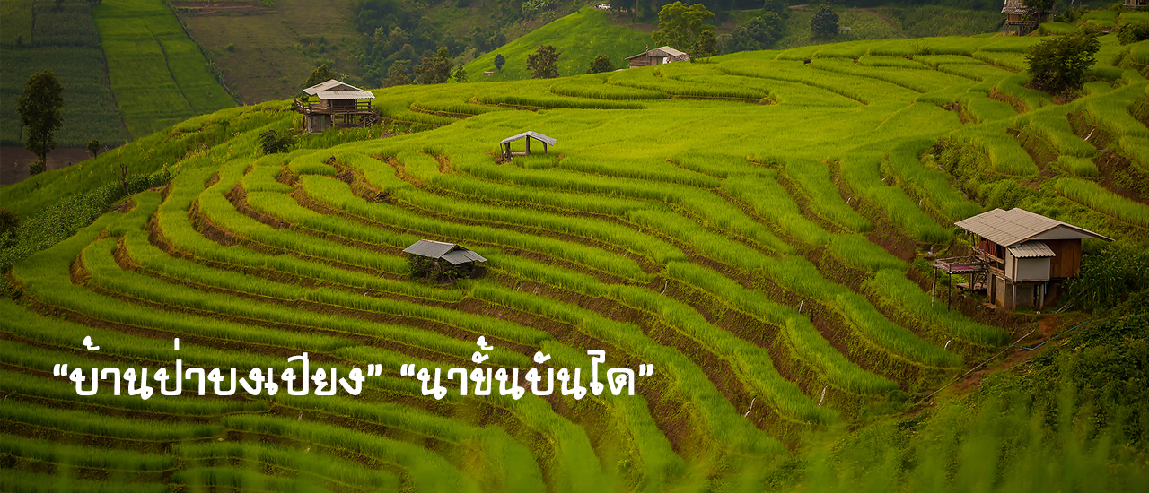 cover บ้านป่าบงเปียง นาขั้นบันได
