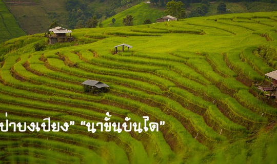 cover บ้านป่าบงเปียง นาขั้นบันได