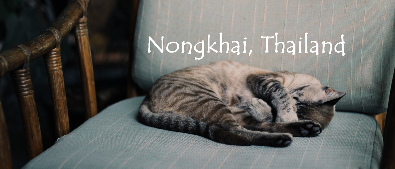 cover มานอนเกียจคร้าน ที่บ้านคลาสสิก ชื่อ "ศิลป์โสภา" ณ หนองคายซิตี้