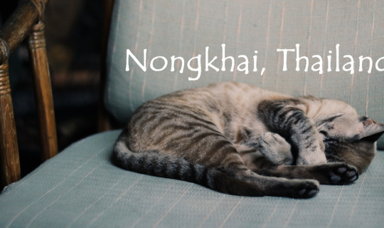 cover มานอนเกียจคร้าน ที่บ้านคลาสสิก ชื่อ "ศิลป์โสภา" ณ หนองคายซิตี้