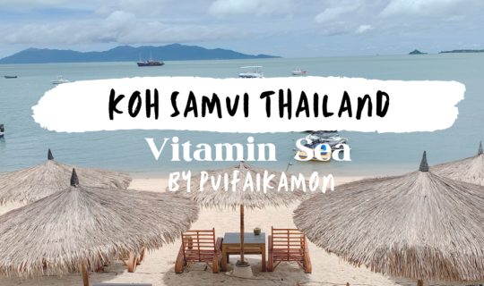 cover K O H S A M U I : ครั้งแรกกับเกาะสมุย 3 วัน 2 คืน (ยุคโควิค)