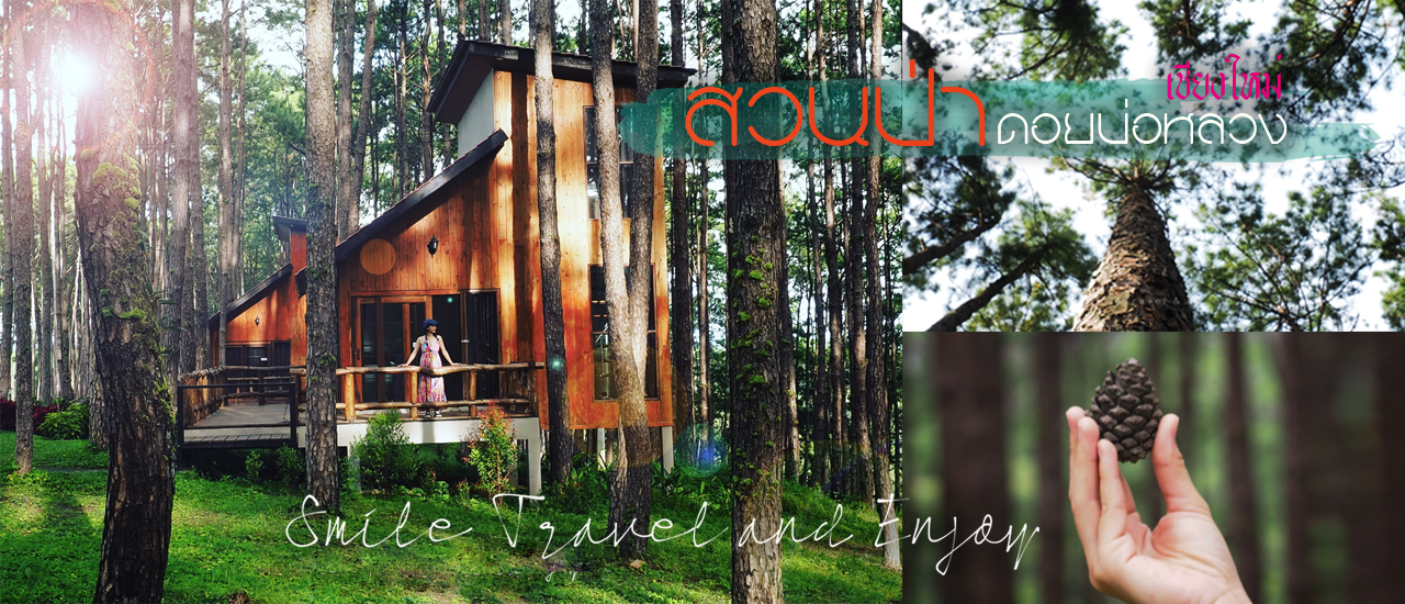 cover เที่ยวสวนป่าดอยบ่อหลวงเชียงใหม่แบบไม่มีรถส่วนตัว