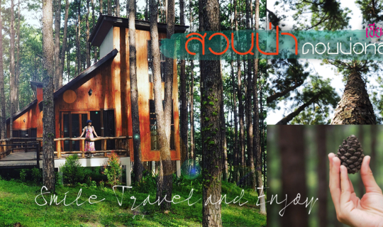 Cover เที่ยวสวนป่าดอยบ่อหลวงเชียงใหม่แบบไม่มีรถส่วนตัว...