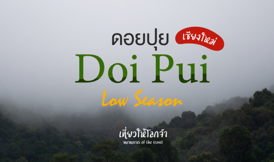 cover ดอยปุย Low Season