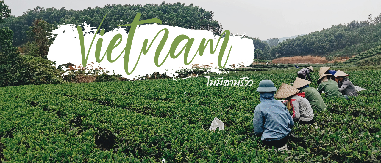 cover เวียดนามที่ไม่มีตามรีวิว