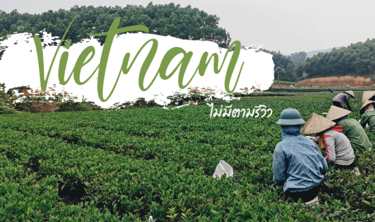 Cover เวียดนามที่ไม่มีตามรีวิว...