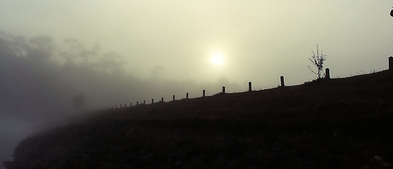 cover ใบไม้เปลี่ยนสีที่โครงการหลวงบ้านวัดจันทร์