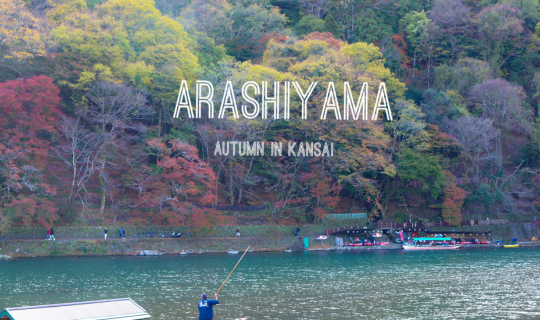 Cover Arashiyama - Autumn in Kansai 9 DAY EP.7...
