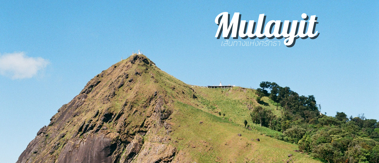 cover 🌿 🌿 🌿 เส้นทางแห่งศรัทธา MULAYIT 🌿 🌿 🌿