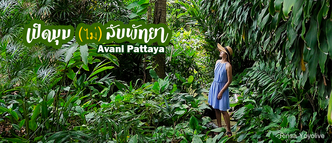 cover เปิดมุมลับๆ อวานี พัทยา กับโปรปังๆ คนไทยจ่ายได้