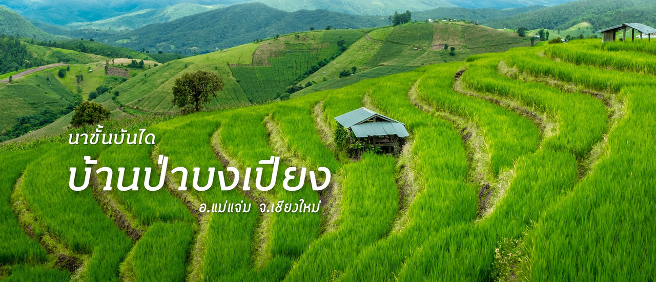 cover 🏡 บ้านนารอคอย ป่าบงเปียง อ.แม่แจ่ม จ.เชียงใหม่ : ทุ่งนาขั้นบันได..วิวหลักล้าน..พร้อมที่พักแค่หลักร้อยยยย!!!