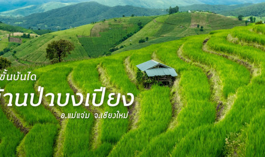 cover 🏡 บ้านนารอคอย ป่าบงเปียง อ.แม่แจ่ม จ.เชียงใหม่ : ทุ่งนาขั้นบันได..วิวหลักล้าน..พร้อมที่พักแค่หลักร้อยยยย!!!