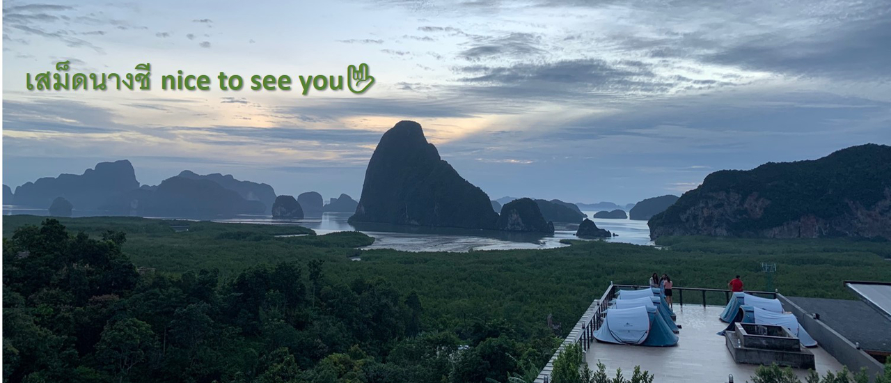 cover เสม็ดนางชี nice to see you🤟🏻⛰