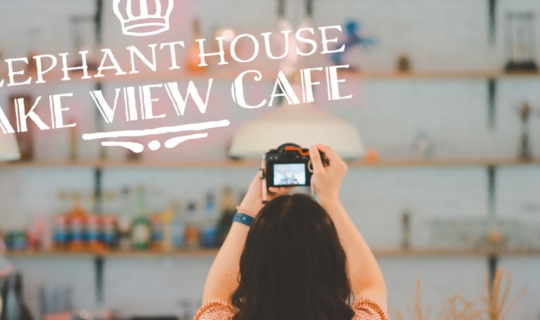 Cover Elephant House Lake view Cafe .... คาเฟ่ชิคๆ แห่งวังทอง...