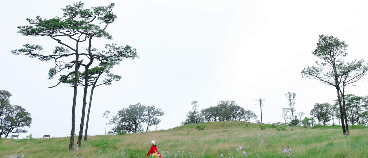 cover ผู้หญิงตัวคนเดียว เที่ยวภูสอยดาว ในงบ 1800 บาท (แถมพบรักที่ภูสอยดาวด้วย) ^^`