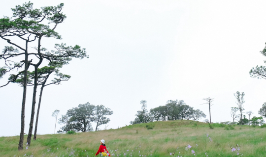 Cover ผู้หญิงตัวคนเดียว เที่ยวภูสอยดาว ในงบ 1800 บาท (แถมพบรักที่ภูสอยดาวด...