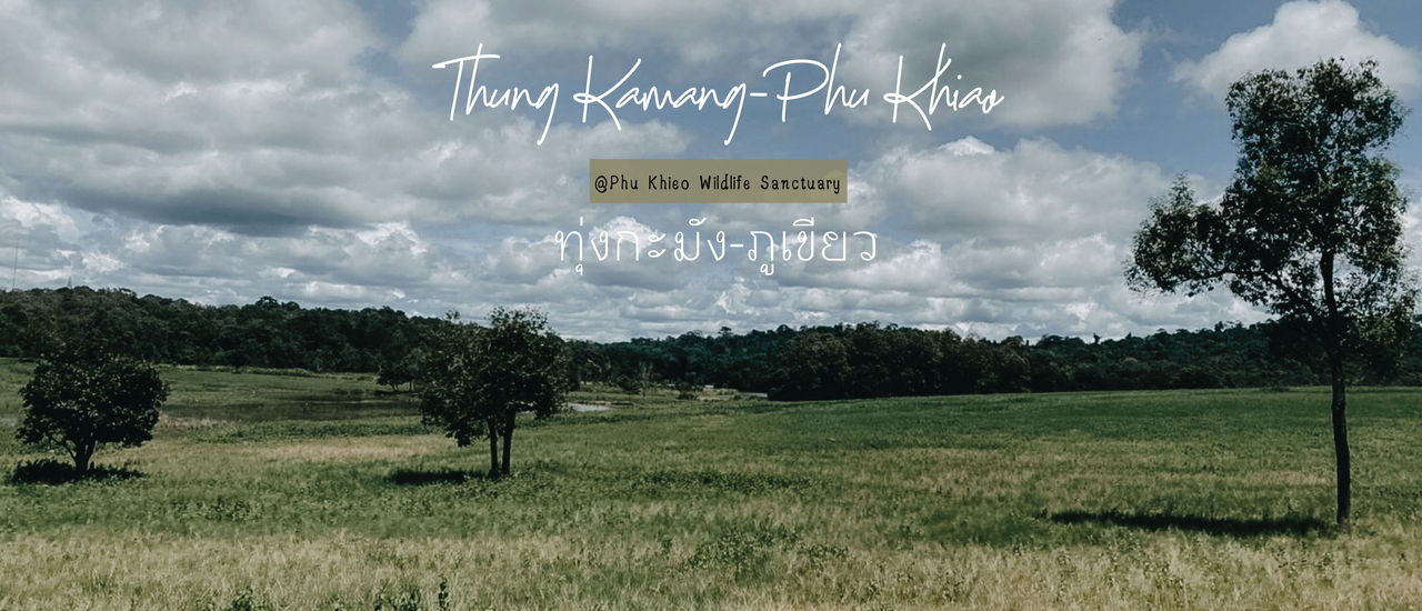 cover ศิลปะยืนยาว วันหยุดสั้น ที่เขตรักษาพันธ์ุสัตว์ป่าภูเขียว-ทุ่งกระมัง