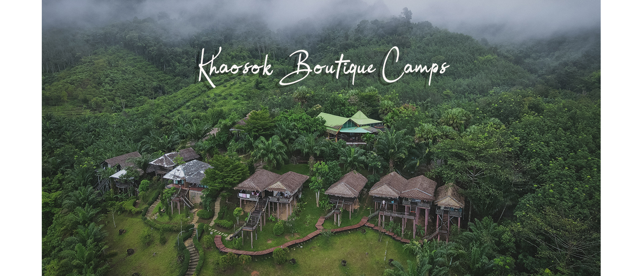 cover Khaosok Boutique Camp นอน Glamping ชมวิวทะเลหมอกสุราษฎร์ธานี