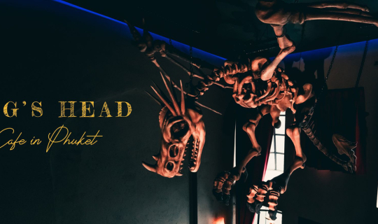 Cover คาเฟ่ภูเก็ตเปิดใหม่! Hog's Head Phuket แนวลึกลับ..สาวกแฮรี่พอตเตอร์ต...