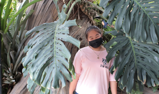 Cover เที่ยวคาเฟ่ สวนป้าอินทร์ รังสิตคลอง 15...