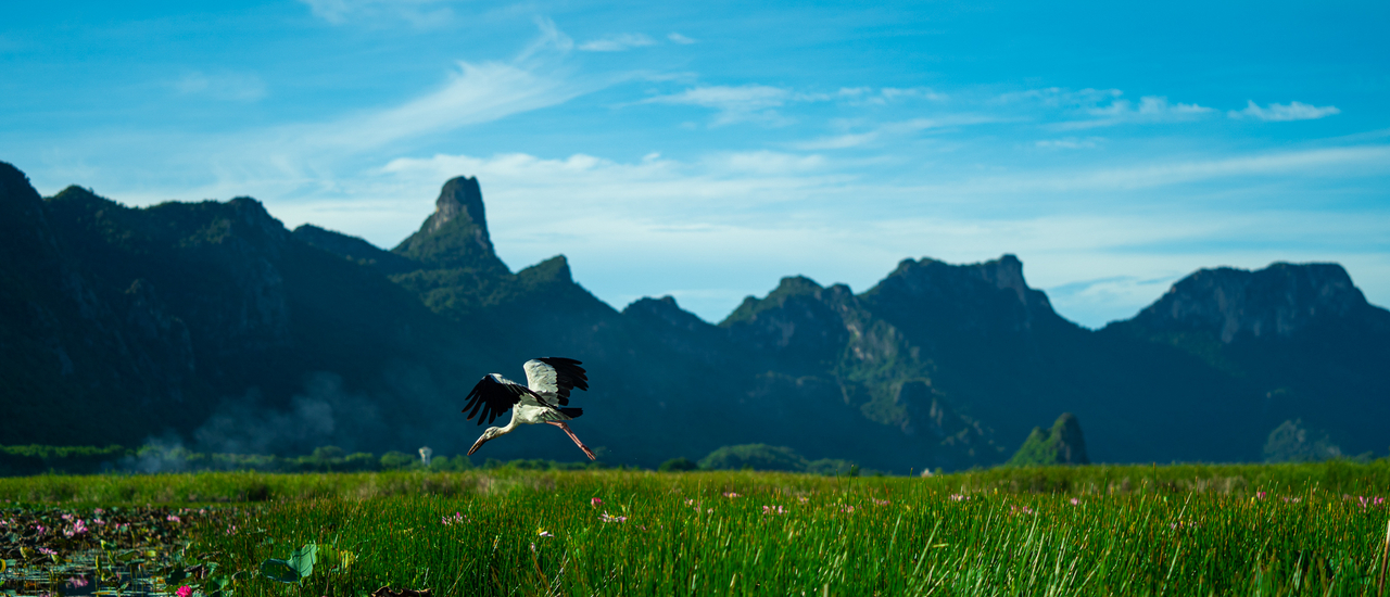 cover เที่ยวสามร้อยยอด นอนลุงชา โฮมสเตย์