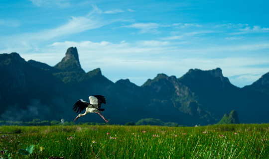 cover เที่ยวสามร้อยยอด นอนลุงชา โฮมสเตย์