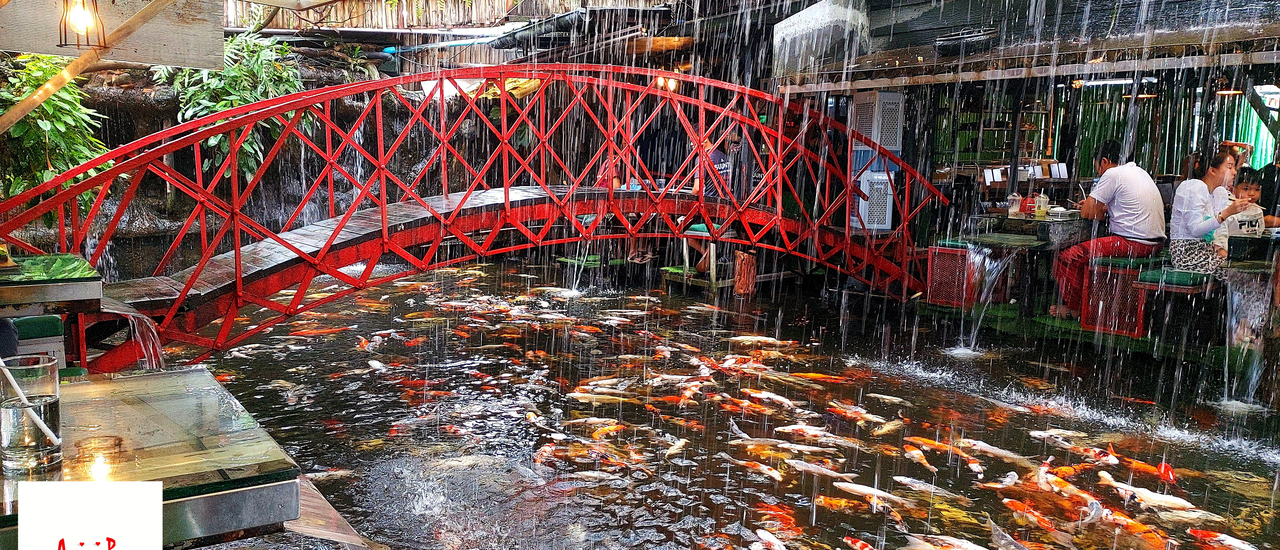 cover คาร์ฟคาเฟ่ เชียงใหม่ เป็นไงราคาแพงไหม