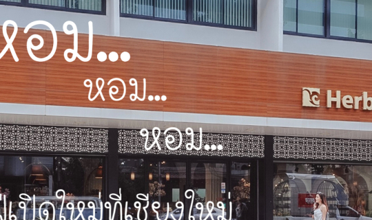 Cover คาเฟ่เปิดใหม่ หอม หอม หอม.. ที่เชียงใหม่ Herb Basics...