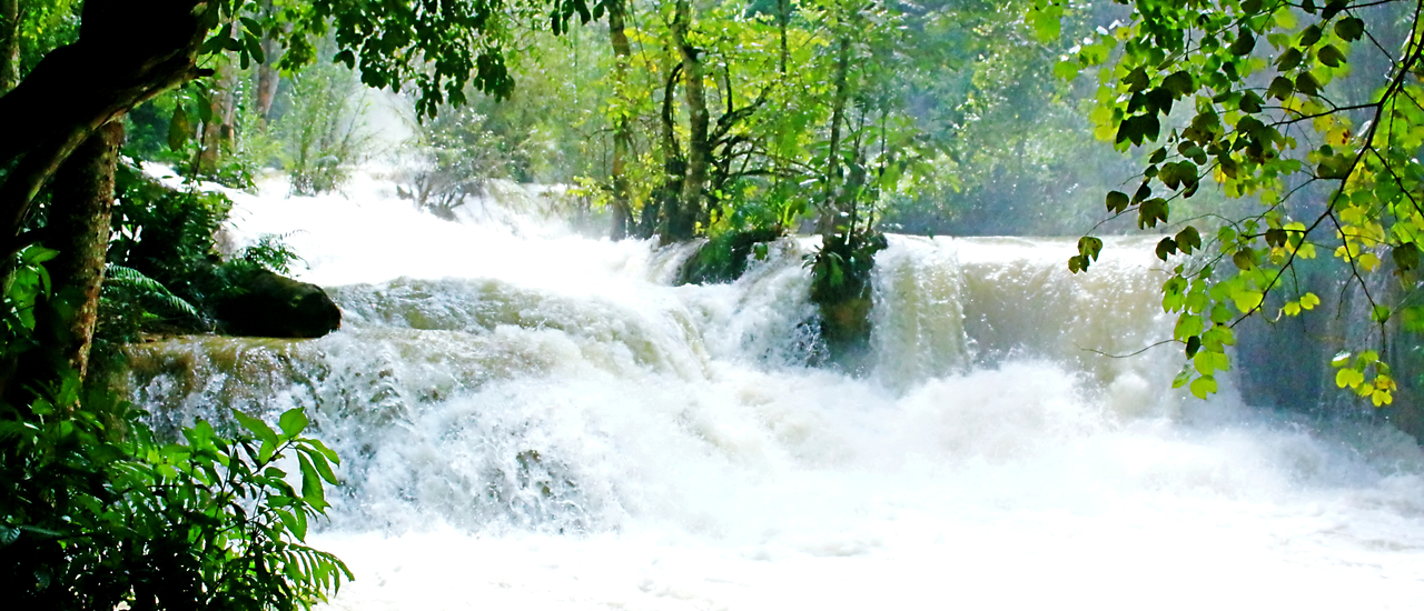 cover เดินงงคนเดียวในหลวงพระบาง