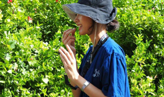 cover พาเที่ยว รื่นเริงฟาร์มสเตย์ @บ้านโป่ง ราชบุรี