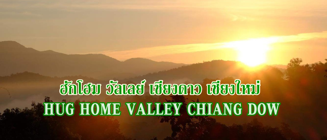 cover เมื่อฉันโดนหมอกล้อมไว้หมดแล้วที่ ..... ฮักโฮม วัลเล่ย์ เชียงดาว เชียงใหม่ :: HUG HOME VALLEY CHIANG DOW