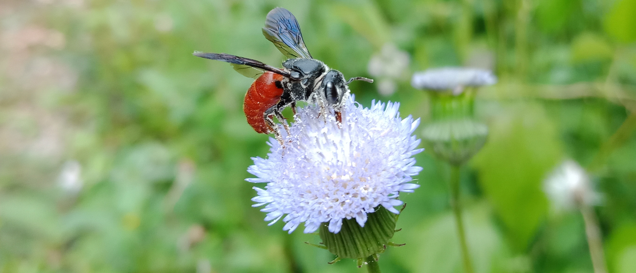 cover ไปเที่ยวเชียงใหม่ ณ บ้านแม่แดดน้อย (ตอนที่ 8)