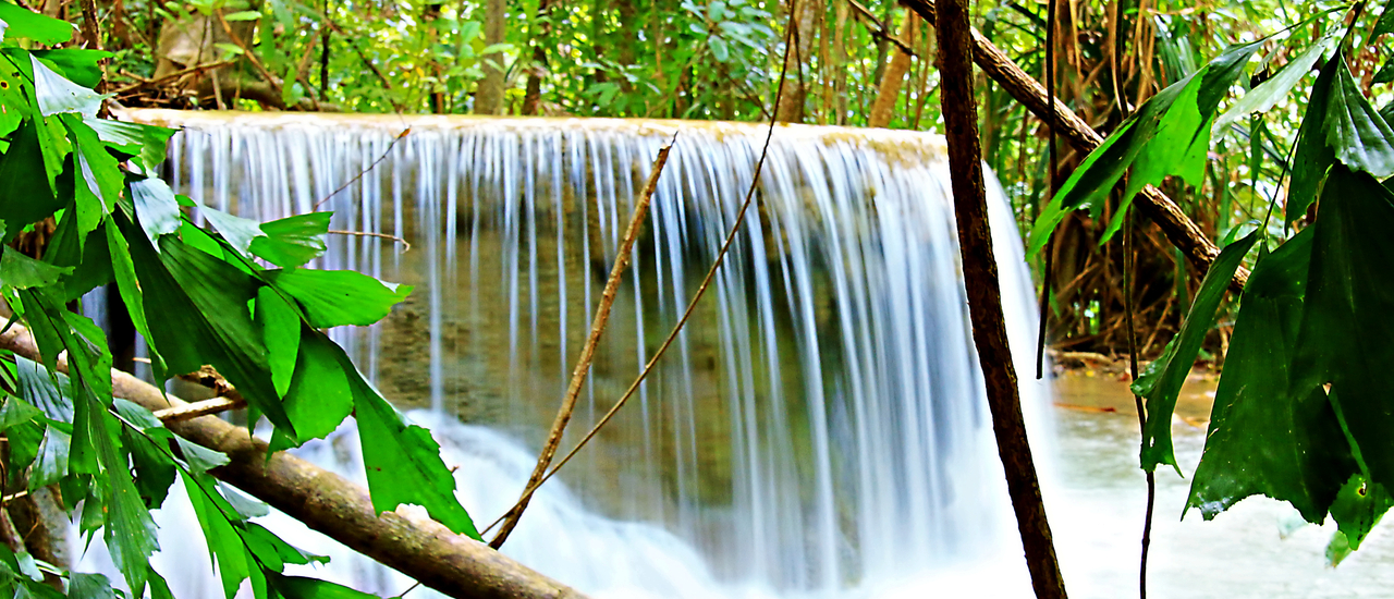 cover เอราวัณในหนึ่งวันของฉัน