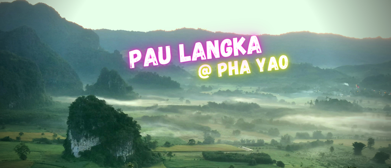 cover PHULANGKA