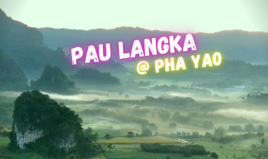 cover PHULANGKA