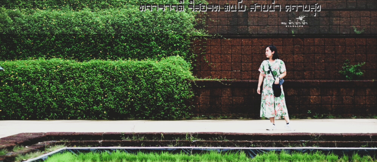 cover ทวาราวดี รีสอร์ท ต้นไม้ สายน้ำ ความสุข…