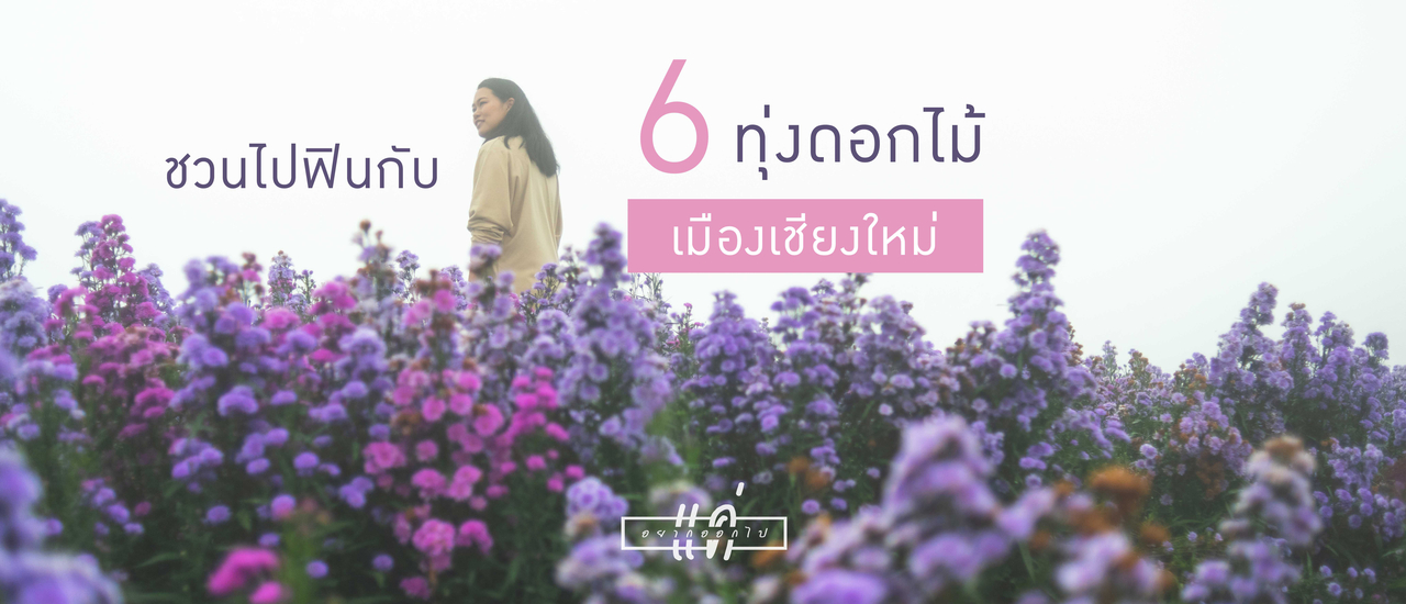 cover แค่อยากออกไป : ชวนไปฟินกับ 6 ทุ่งดอกไม้เมืองเชียงใหม่