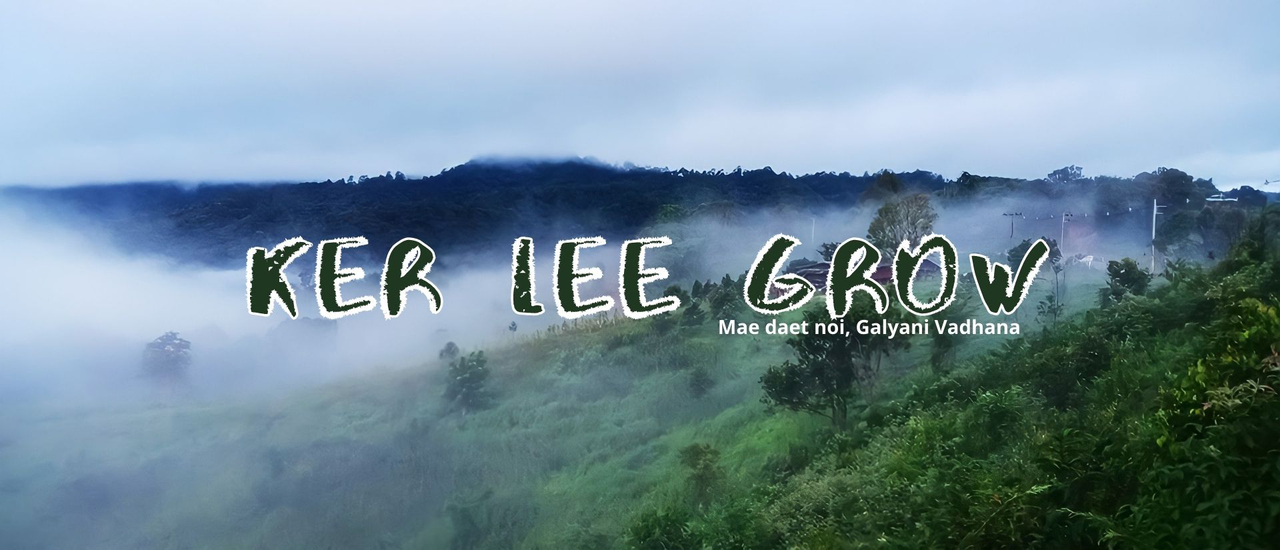 cover ไปเที่ยวเชียงใหม่ ณ บ้านแม่แดดน้อย (ตอนที่ 10 จบ)