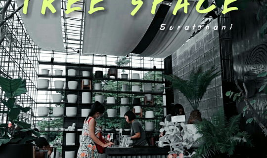 Cover จิบกาแฟนั่งแลต้นไม้ Tree Space สุราษฎร์ธานี...