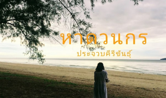 cover กางเต้นท์หาดวนกร ประจวบคีรีขันธุ์ "ทริปขับรถเที่ยวปลายฝน จากบ้านปันสุขเพชรบุรีรมย์ สู่สุดยอดดอยแห่งน่านนคร" ตอนที่6